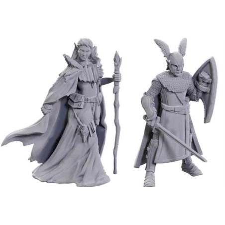 Wizkids - Dungeons & Dragon - Nolzur's Marvelous Miniatures: Limited Edition 50th Anniversary - Elves